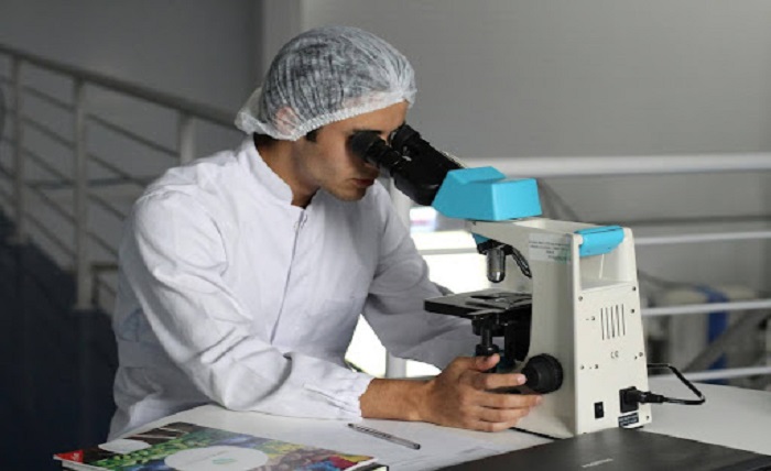 Synthetic Biology
