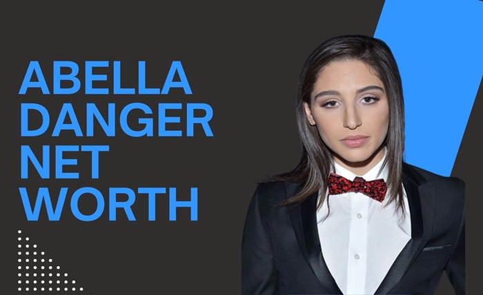 abella danger net worth