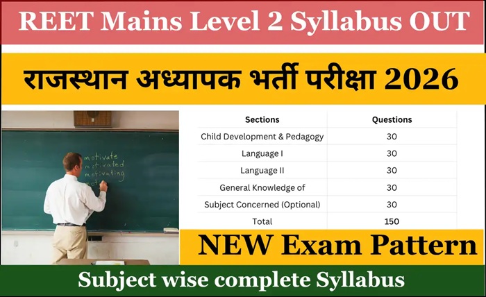 reet mains syllabus level 2