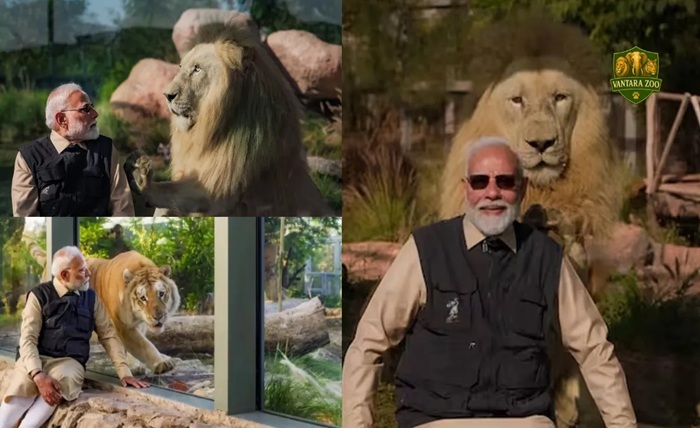 vantara zoo ticket price