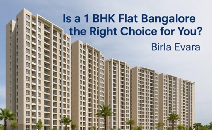 1 BHK House