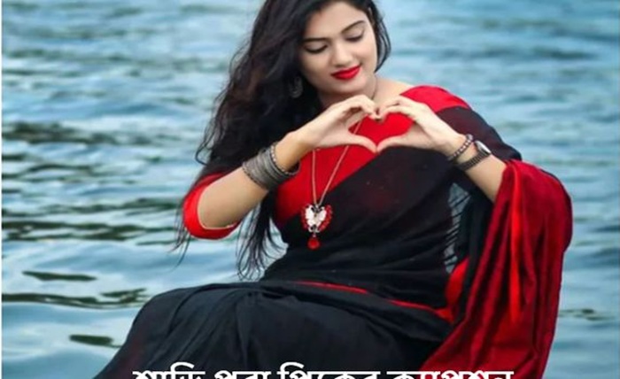 শাড়ি পরা পিক