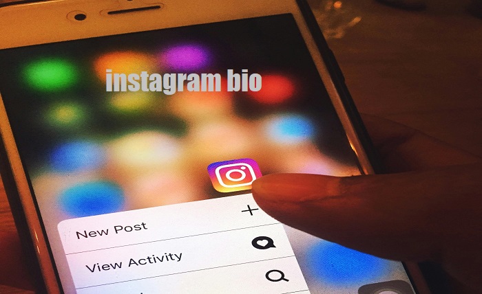 instagram bio